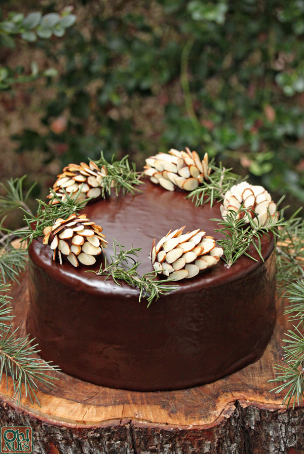 chocolate-pinecones-4